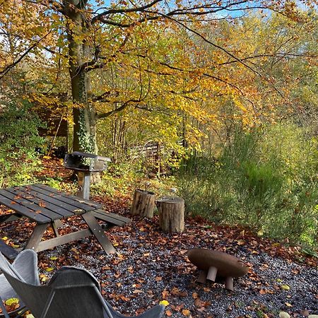 Chalet Tropical Avec Bain A Bulles - In The Woods Gesves Eksteriør billede