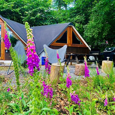Chalet Tropical Avec Bain A Bulles - In The Woods Gesves Eksteriør billede