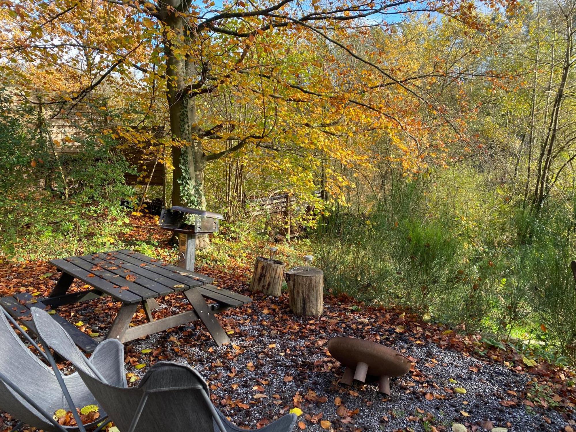 Chalet Tropical Avec Bain A Bulles - In The Woods Gesves Eksteriør billede